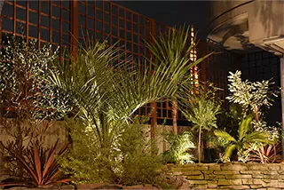 [8F]プールサイド/プール/観葉植物