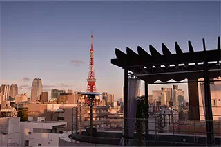 [RF]ルーフトップ/東京タワー
