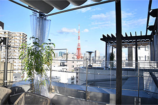 RF - 東京タワーの見える景色(昼間)